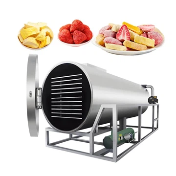 Vacuum Freeze-Drying Equipment: The Secret Weapon of Master Preservationists