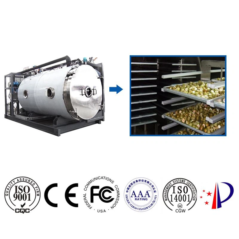 The principle of food vacuum freeze dryer